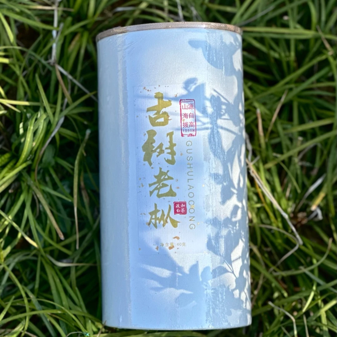 【东苑贡茶】2021年 古树老枞  政和白茶