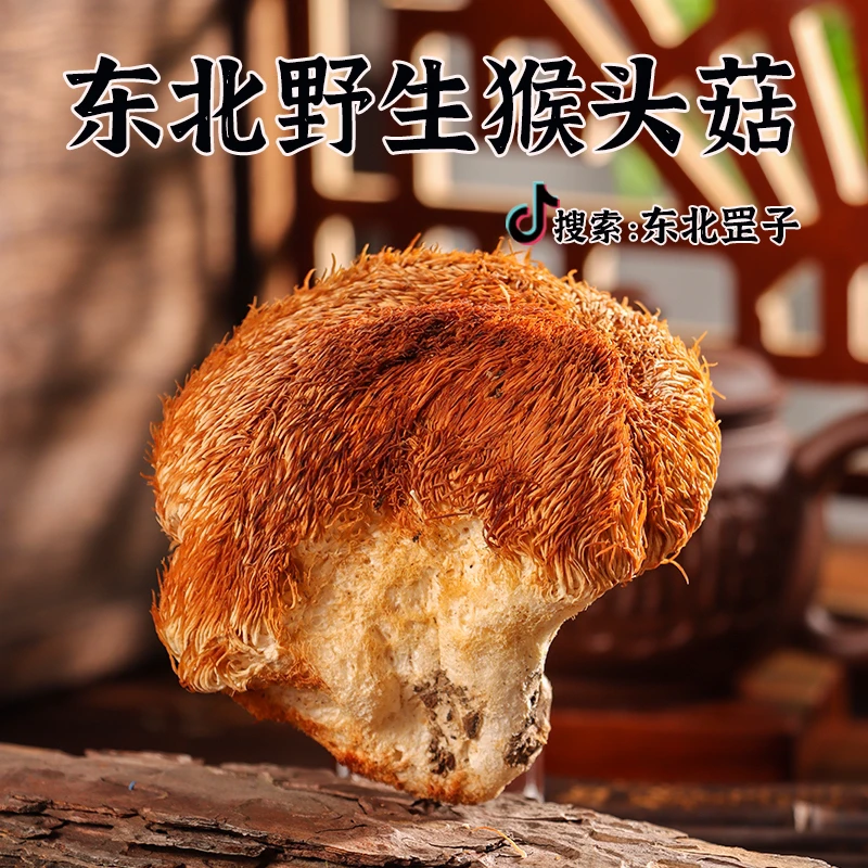东北野生猴头菇250克