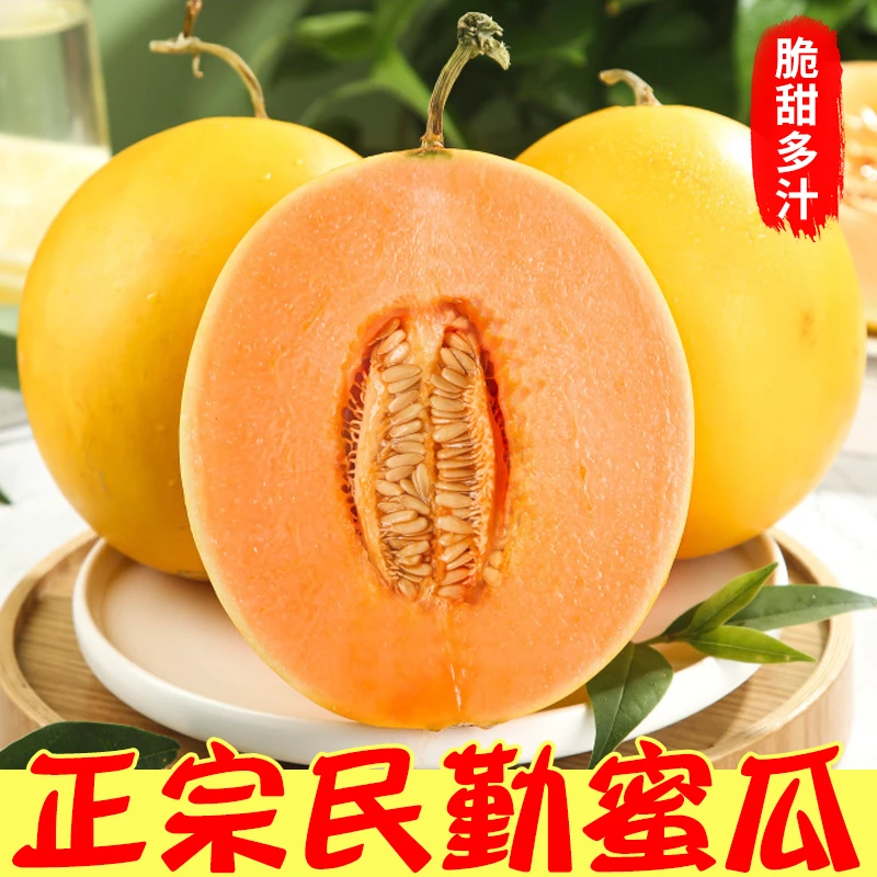 民勤蜜瓜新鲜现摘应季时令水果8-9斤装 坏果包赔x