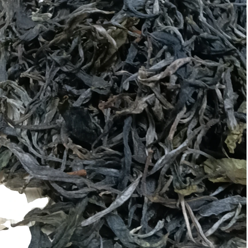 2022 年普洱正气塘古树春茶500g散装兰花香茶生茶袋装茶厂散茶