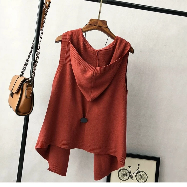 万九儿韩版宽松连帽针织马甲女春秋款时尚百搭毛衣背心开衫2189