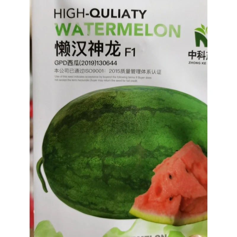 种盈懒汉神龙西瓜种子