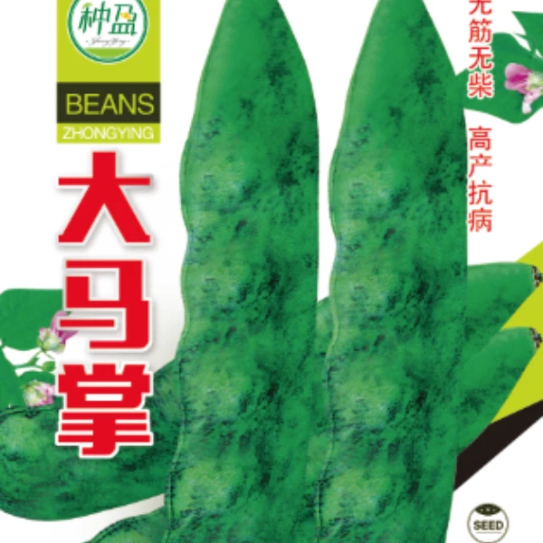 种盈大马掌豆角种子
