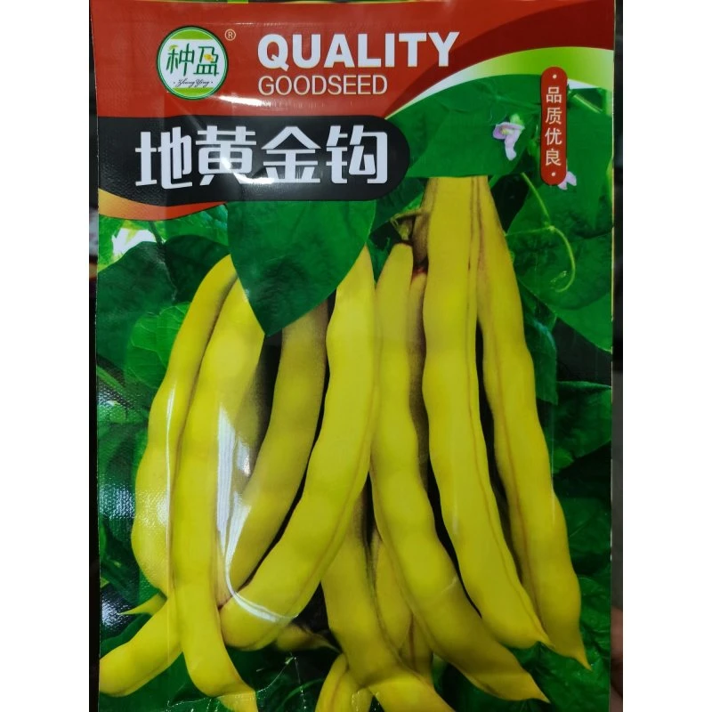 种盈不搭架的黄金勾豆角种子
