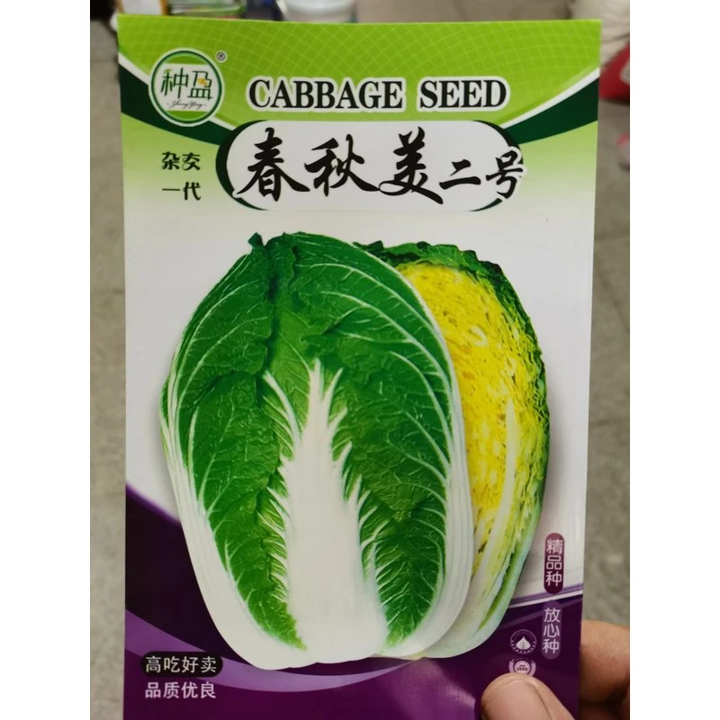 种盈春秋美二号白菜种子