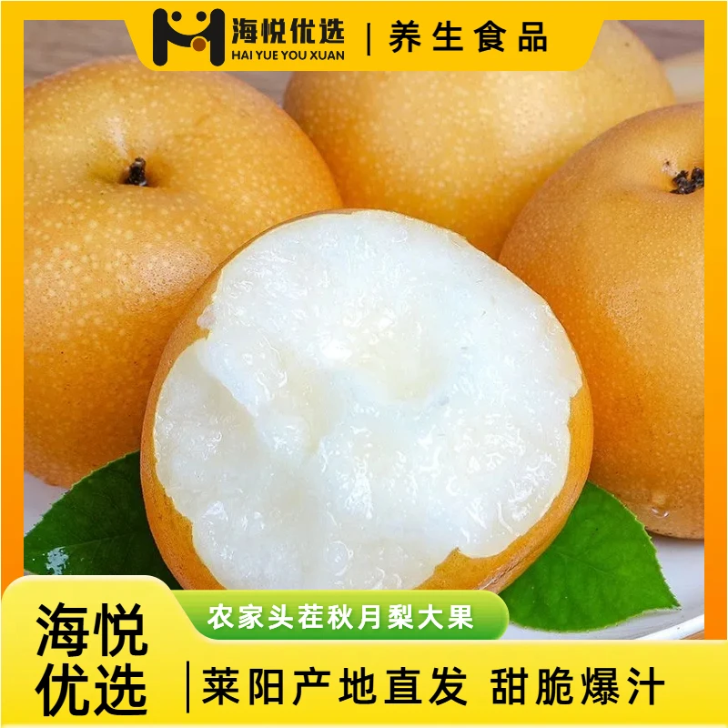 【海悦优选】莱阳头茬秋月梨大果