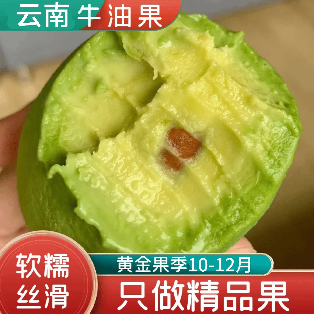 【精选大果】正宗云南哈斯牛油果新鲜应季水果手剥果坏果包赔2