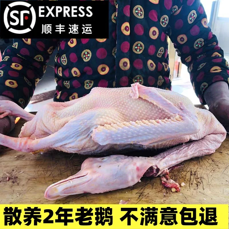 现杀大白鹅新鲜鹅肉农家养殖大鹅带鹅心肝白条大鹅冷冻发货送料包