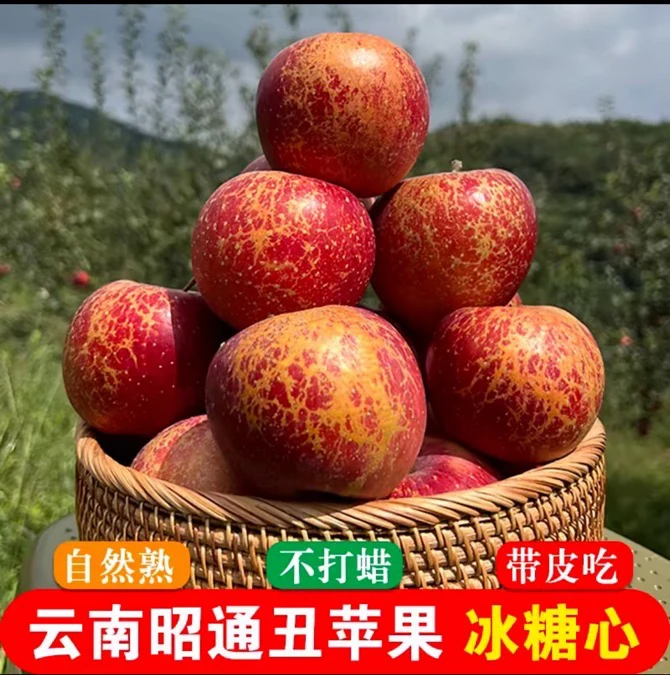 云南昭通高山原生态红富士丑苹果