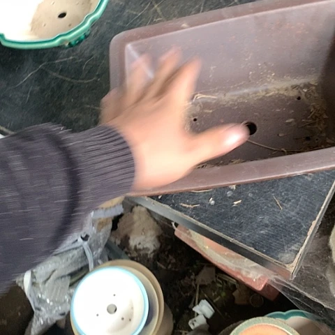 紫砂20CM（含）-50CM（不含）