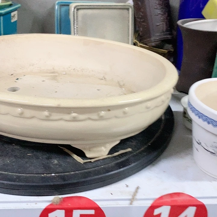 紫砂20CM（含）-50CM（不含）
