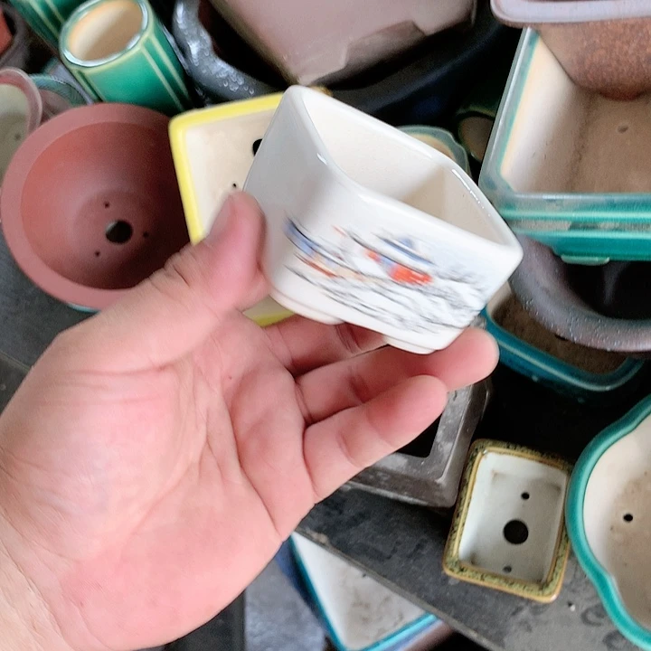 紫砂20CM（含）-50CM（不含）