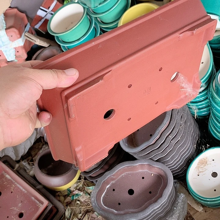 紫砂20CM（含）-50CM（不含）