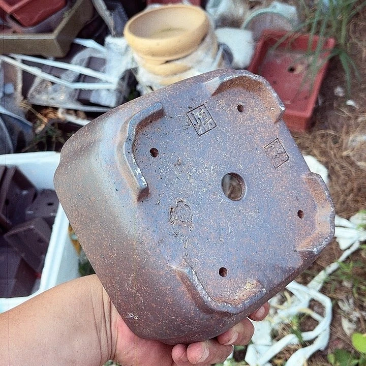 紫砂20CM（含）-50CM（不含）