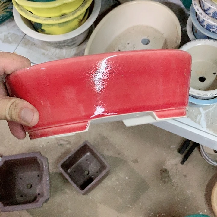 紫砂20CM（含）-50CM（不含）