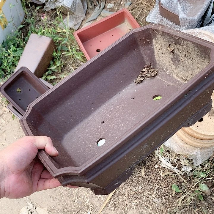 紫砂20CM（含）-50CM（不含）