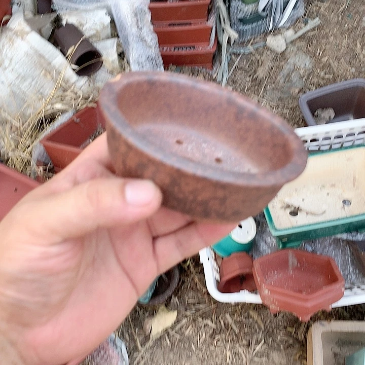 紫砂20CM（含）-50CM（不含）