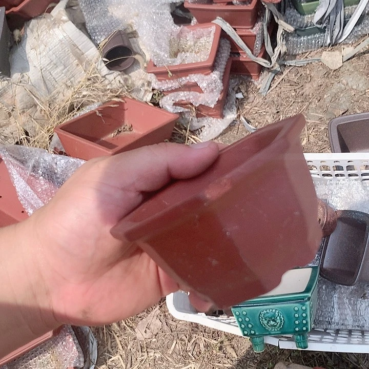 紫砂20CM（含）-50CM（不含）