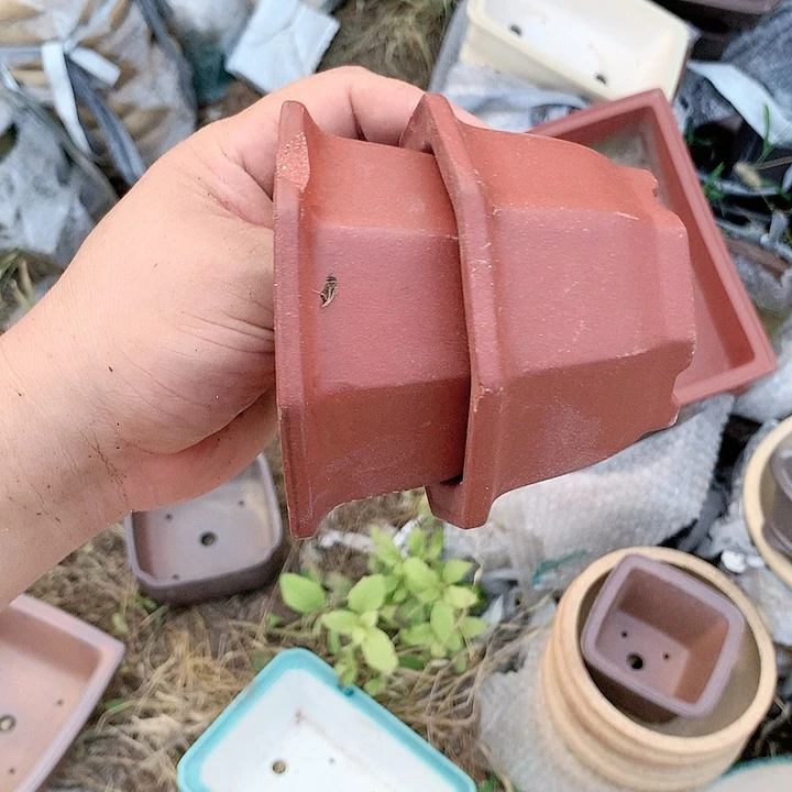 紫砂20CM（含）-50CM（不含）