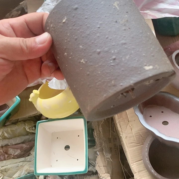 紫砂20CM（含）-50CM（不含）