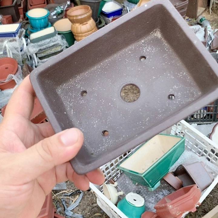 紫砂20CM（含）-50CM（不含）
