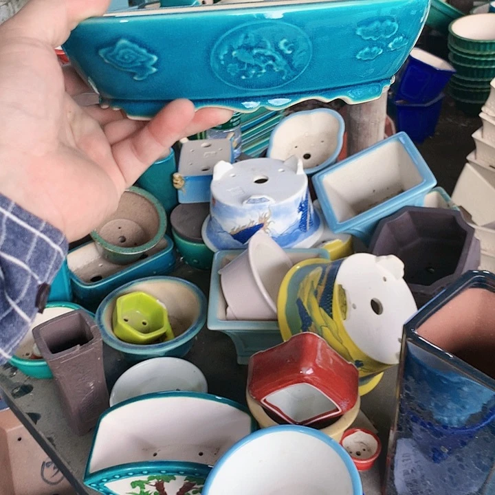 紫砂20CM（含）-50CM（不含）