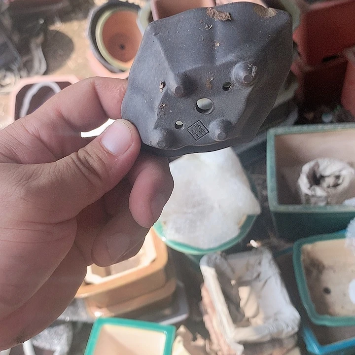 紫砂20CM（含）-50CM（不含）