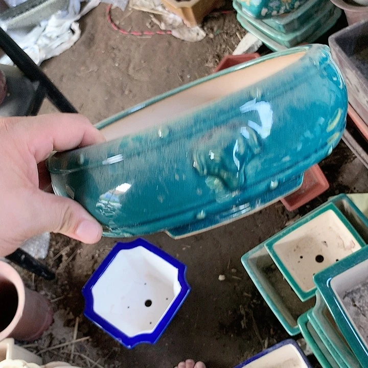 紫砂20CM（含）-50CM（不含）