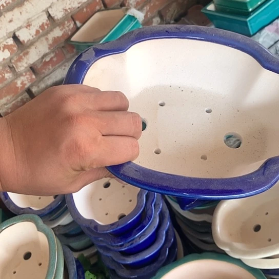 紫砂20CM（含）-50CM（不含）