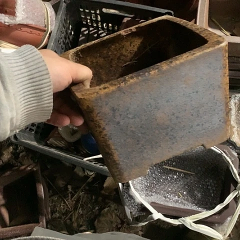 紫砂没有一次真正爱的