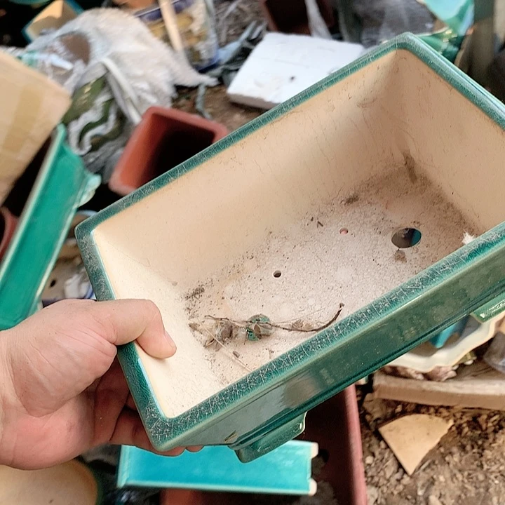 紫砂20CM（含）-50CM（不含）