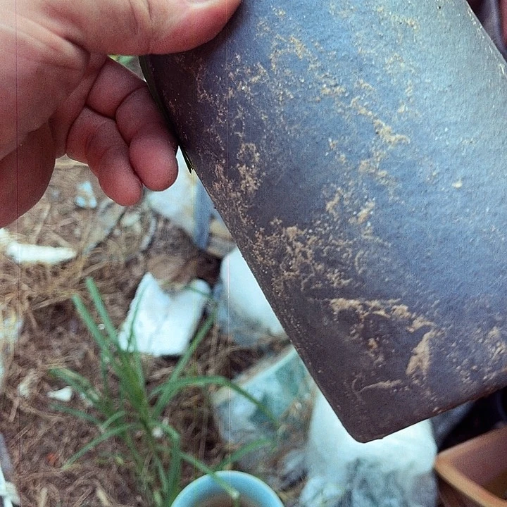 紫砂20CM（含）-50CM（不含）
