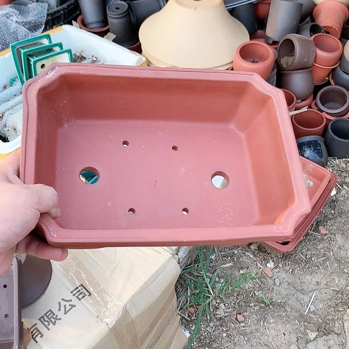 紫砂20CM（含）-50CM（不含）