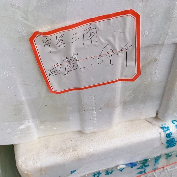 紫砂20CM（含）-50CM（不含）