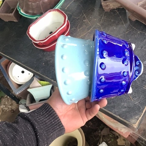 紫砂20CM（含）-50CM（不含）