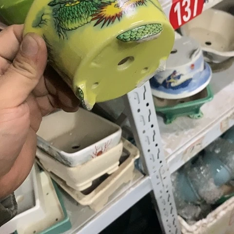 紫砂20CM（含）-50CM（不含）