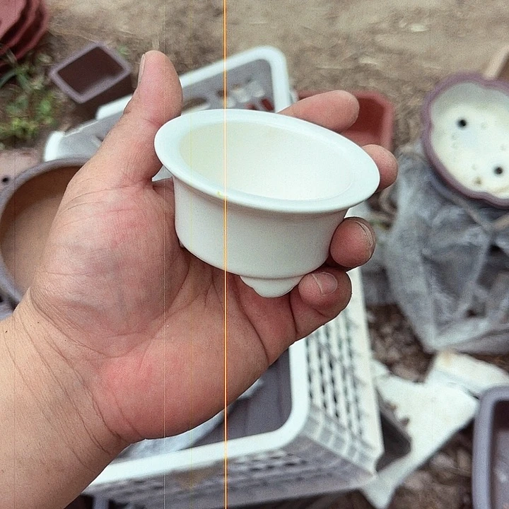 紫砂20CM（含）-50CM（不含）
