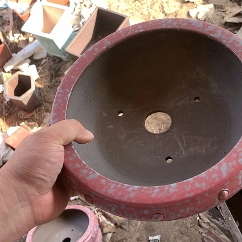 紫砂20CM（含）-50CM（不含）