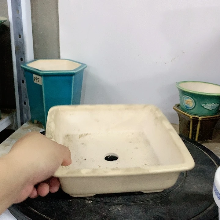 紫砂20CM（含）-50CM（不含）