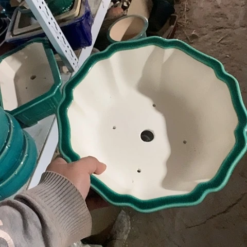 紫砂20CM（含）-50CM（不含）