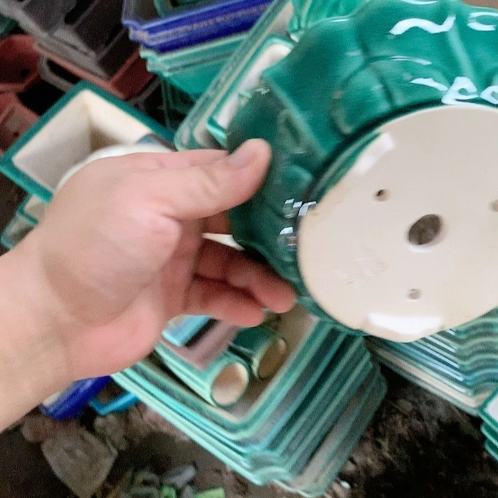 紫砂20CM（含）-50CM（不含）