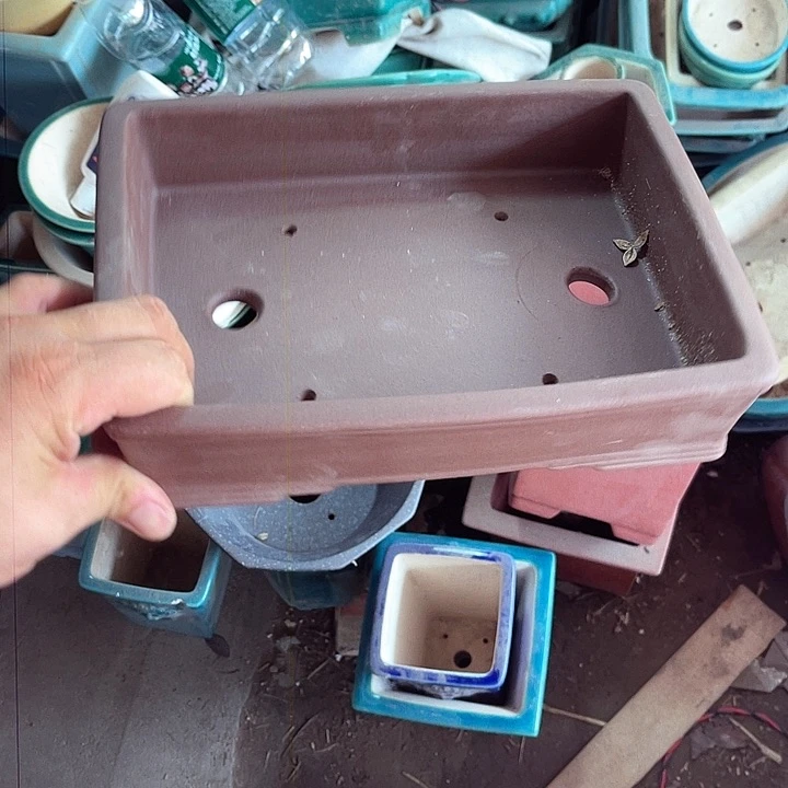 紫砂20CM（含）-50CM（不含）