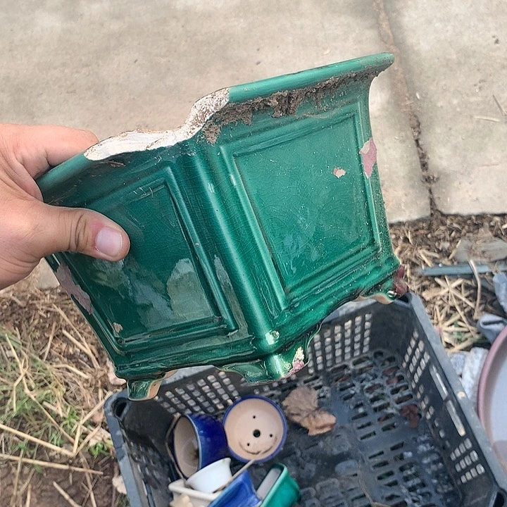 紫砂20CM（含）-50CM（不含）