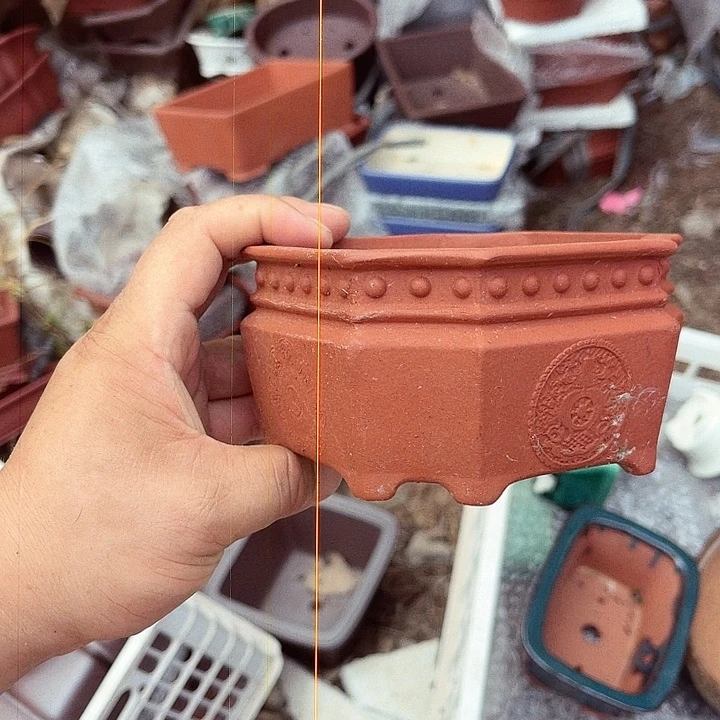 紫砂20CM（含）-50CM（不含）