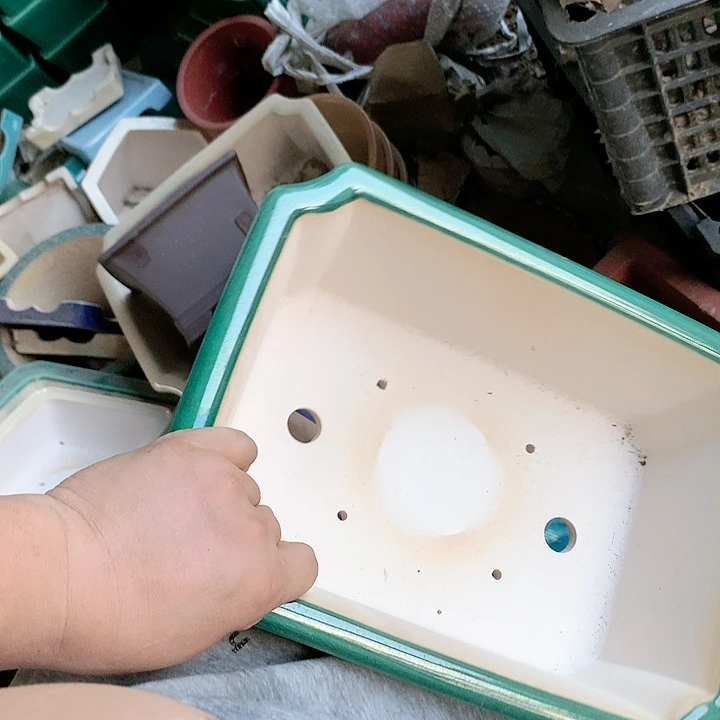 紫砂20CM（含）-50CM（不含）