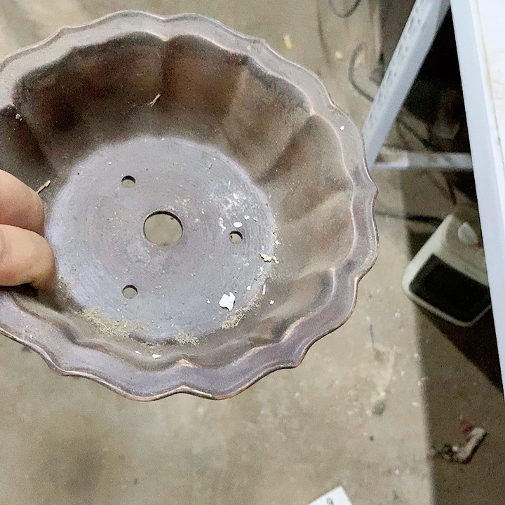 紫砂20CM（含）-50CM（不含）