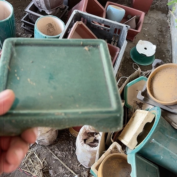 紫砂20CM（含）-50CM（不含）