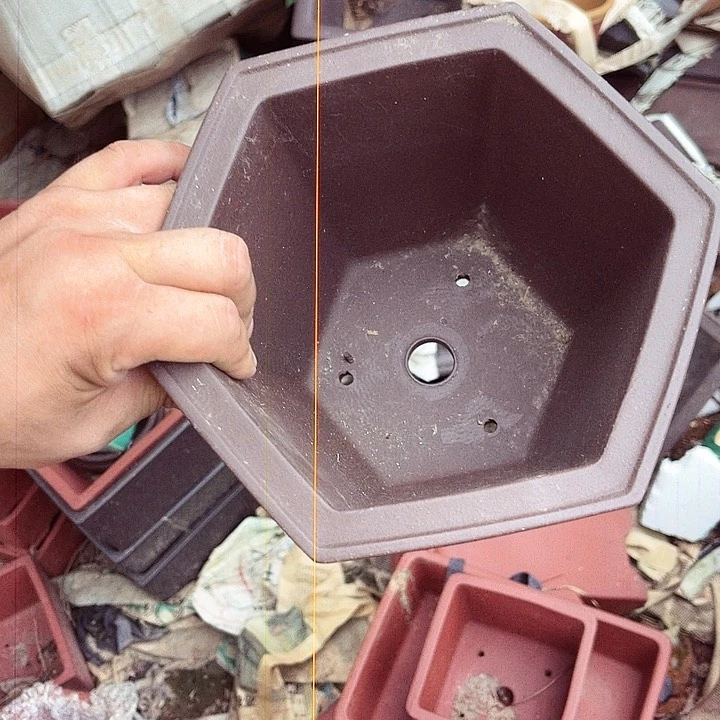 紫砂20CM（含）-50CM（不含）