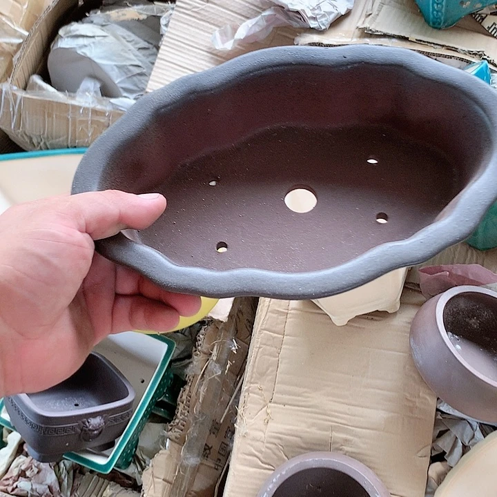 紫砂20CM（含）-50CM（不含）