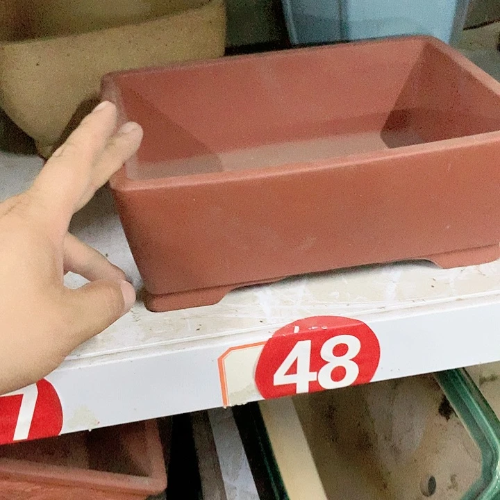 紫砂20CM（含）-50CM（不含）